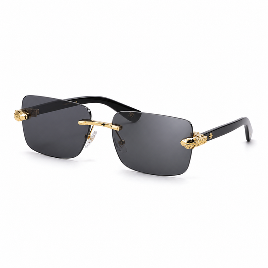 LENTES RICOHATS